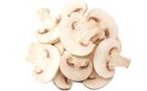 BZ MOSHROOMS 61G