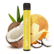 ELFBAR COCONUT MELON