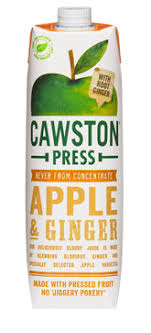 TR P/APPLE GINGER 475ML