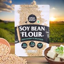 TS BEANS FLOUR 500G