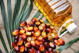 MAF PALM OIL 500L