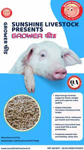 SUNSHINE PIG TAIL SMALL Â£3.50