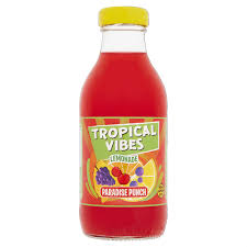 TV PARADISE PUNCH 300ML