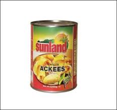 SUNLAND ACKEES 540G