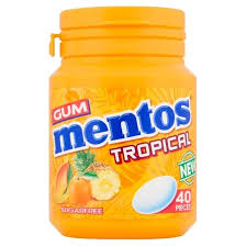 MENTOS BOTTLE TROPICAL 56G