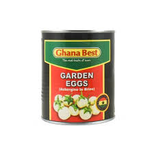 GT GARDEN EGG 800G