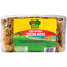 TROPICAL SUN IRISH MOSS 100G