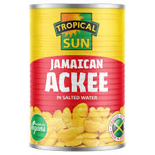 TS ACKEE SMALL 280G