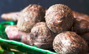 PAPA CHOICE COCO YAM 681G