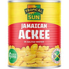 TS ACKEE 540G