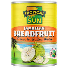 TS BREAD FRUIT SLICE SALT 540G