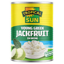 TS GREEN JACKFRUIT 560G
