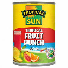 TS FRUIT PUNCH 540ML