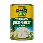 TS GREEN JACKFRUIT 560G
