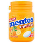 MENTOS BOTTLE TROPICAL 56G