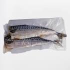 SUNSHINE SALT MACKEREL NO HEAD