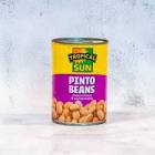 TS PINTO BEANS 400G